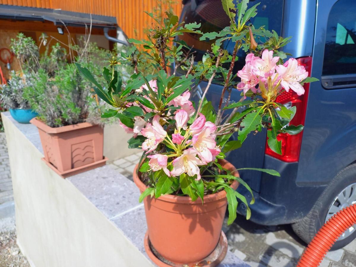 Tomas Old House - River Apartments Visoko  外观 照片
