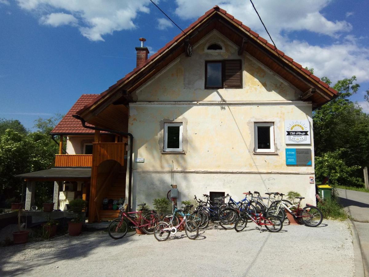 Tomas Old House - River Apartments Visoko  外观 照片